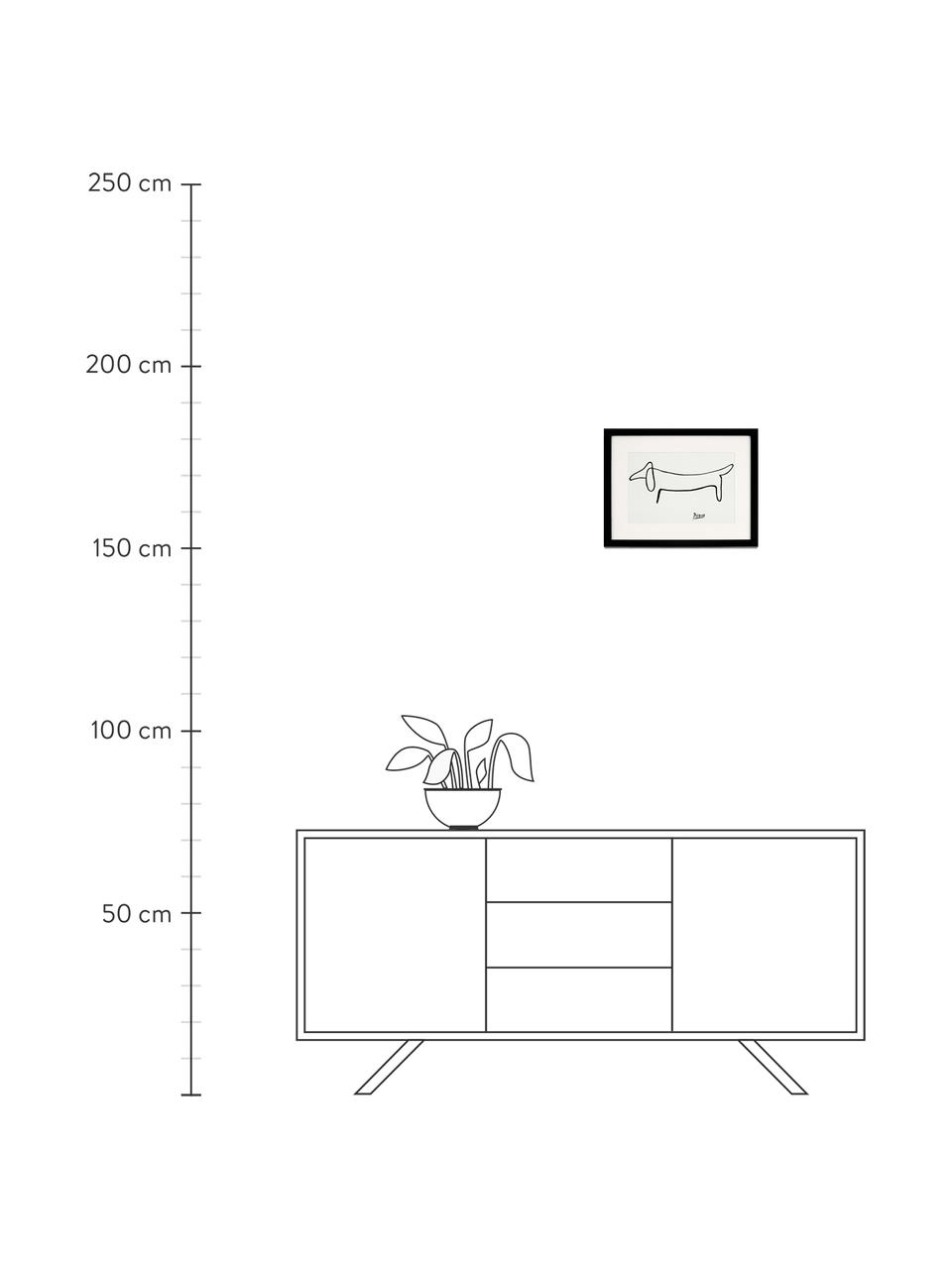 Ingelijste digitale print Picasso's Tekkel, Afbeelding: digitale print op papier,, Lijst: gelakt hout, Wit, zwart, B 43 x H 33 cm