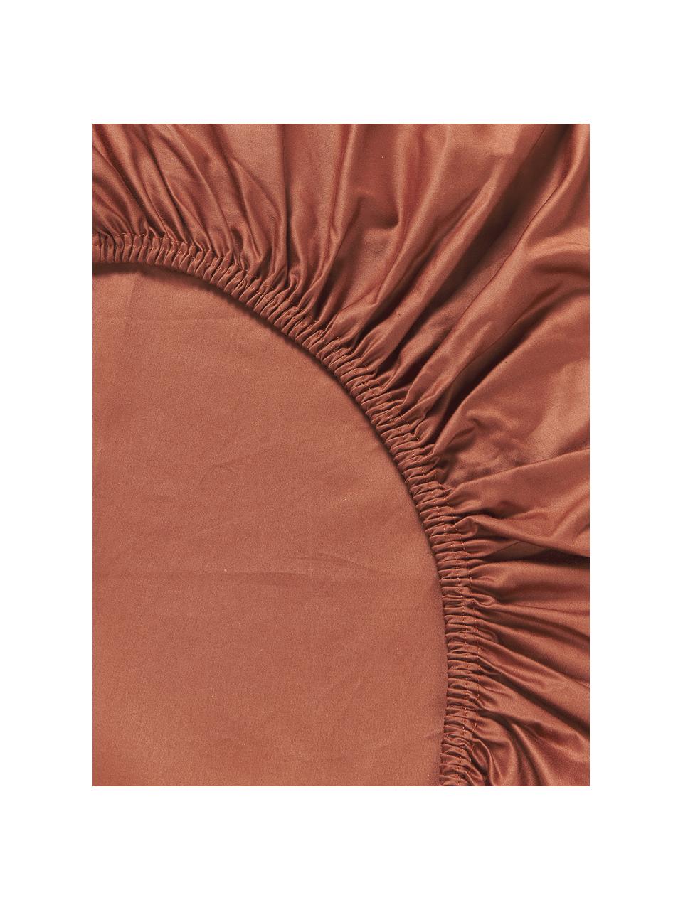 Lenzuolo con angoli topper in raso di cotone Premium, Terracotta, Larg. 90 x Lung. 200 cm, Alt. 15 cm