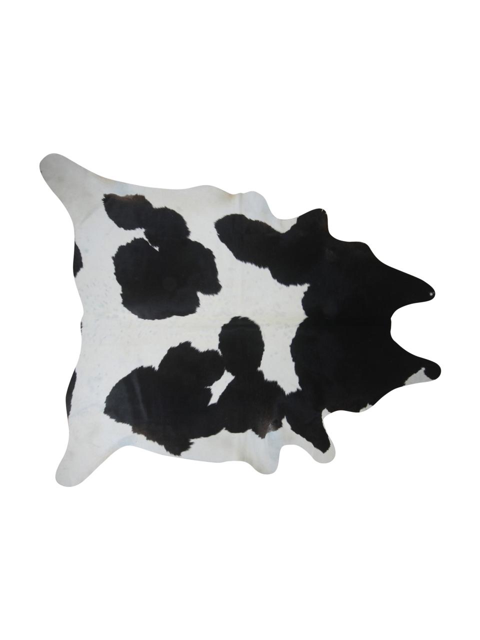 Tappeto in pelle di mucca Otto, Pelle di mucca, Nero, bianco, Pelle di mucca unica 975, 160 x 180 cm