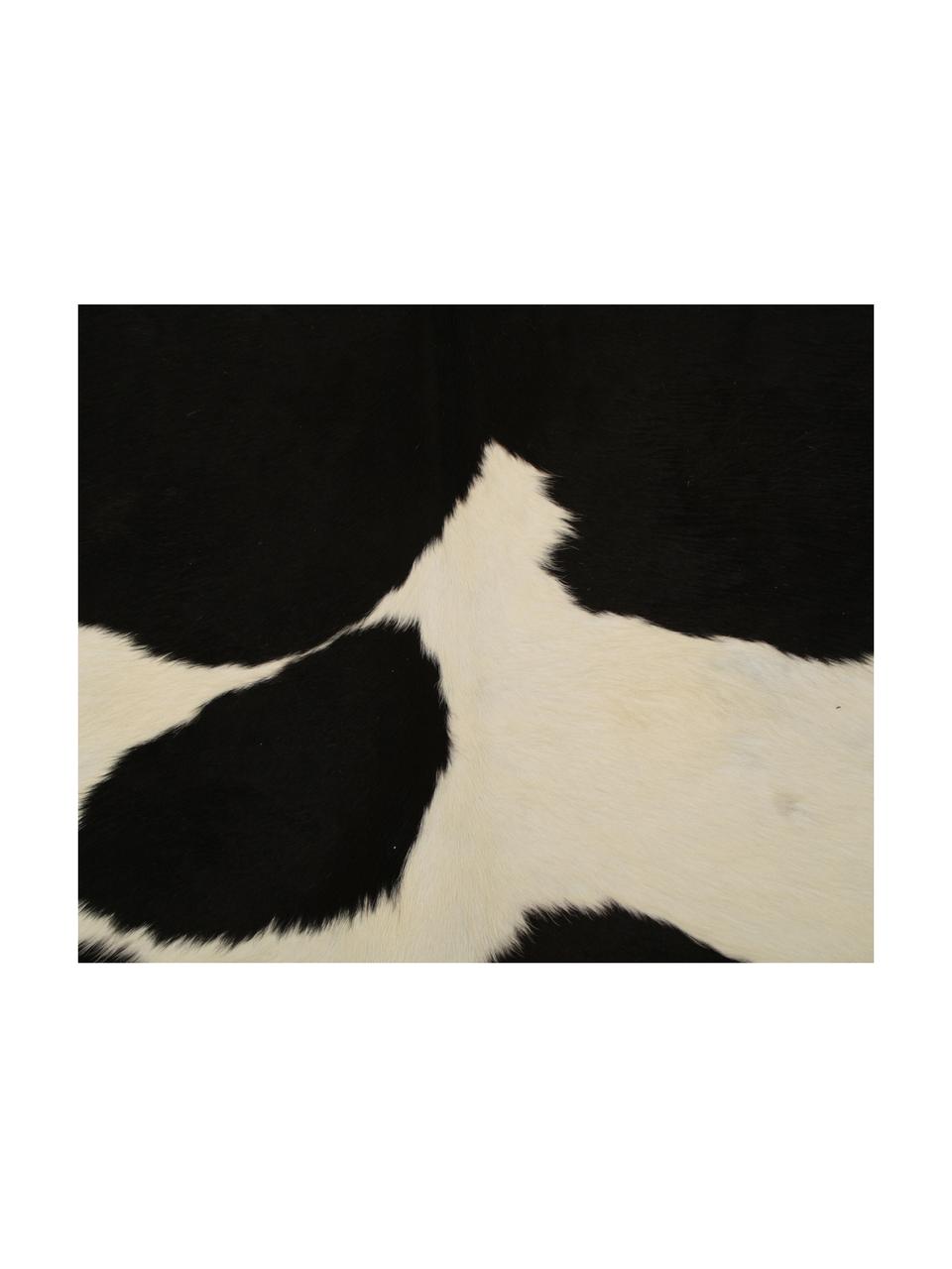 Tapis en peau de vache Otto, Peau de vache, Noir, blanc, Peau de vache, exemplaire unique nº 975, 160 x 180 cm