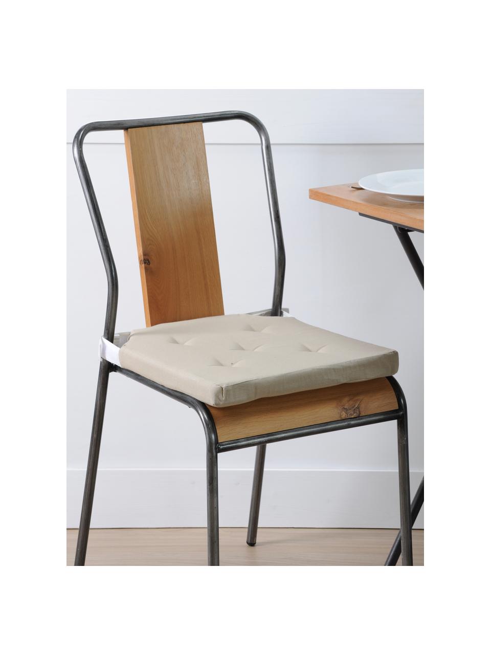 Sitzkissen Duo in Beige, Bezug: Baumwolle, Beige, 40 x 40 cm