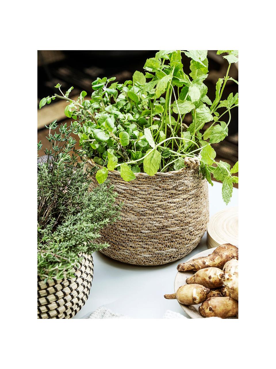 Cesta Hang, Algas marinas, Beige, Ø 18 x Al 16 cm