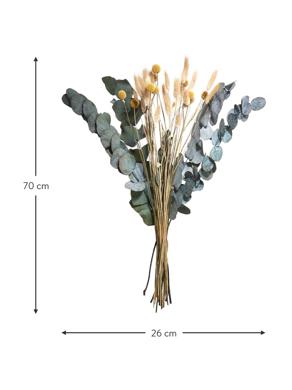 Blumenstrauß Flower Market aus Trockenblumen, Trockenblumen, Sonnengelb, Beige- und Grüntöne, L 70 cm