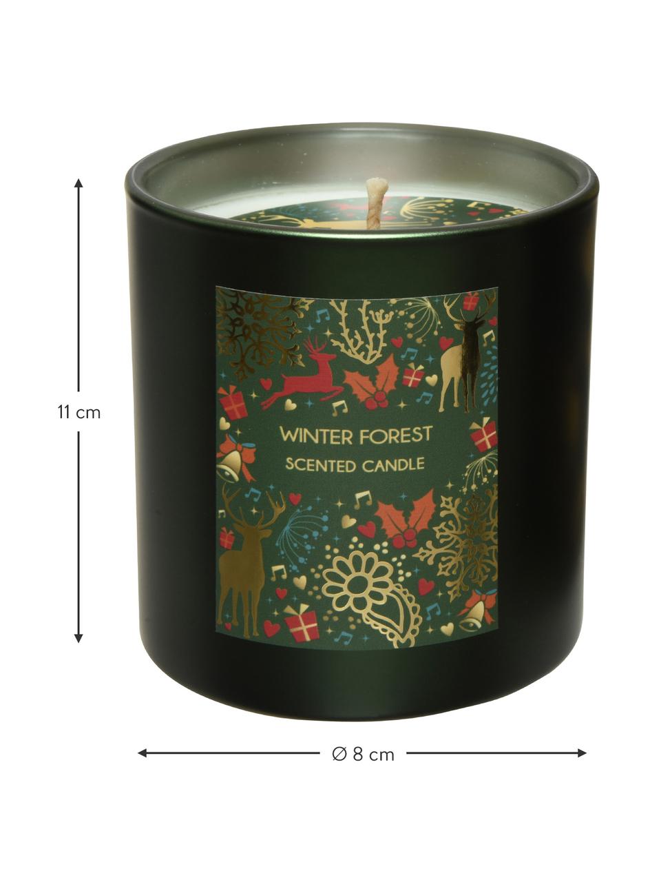 Vela perfumada Winter Forest, Recipiente: vidrio, Verde oscuro, Ø 8 x Al 11 cm