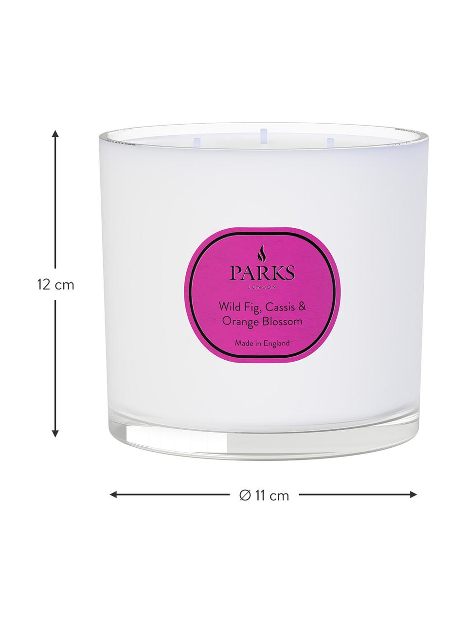 Geurkaars met drie lonten Vintage Aromatherapie (wilde vijgen, zwarte bes & oranjebloesem), Houder: glas, Vijg, bes, oranjebloesem, Ø 12 x H 11 cm