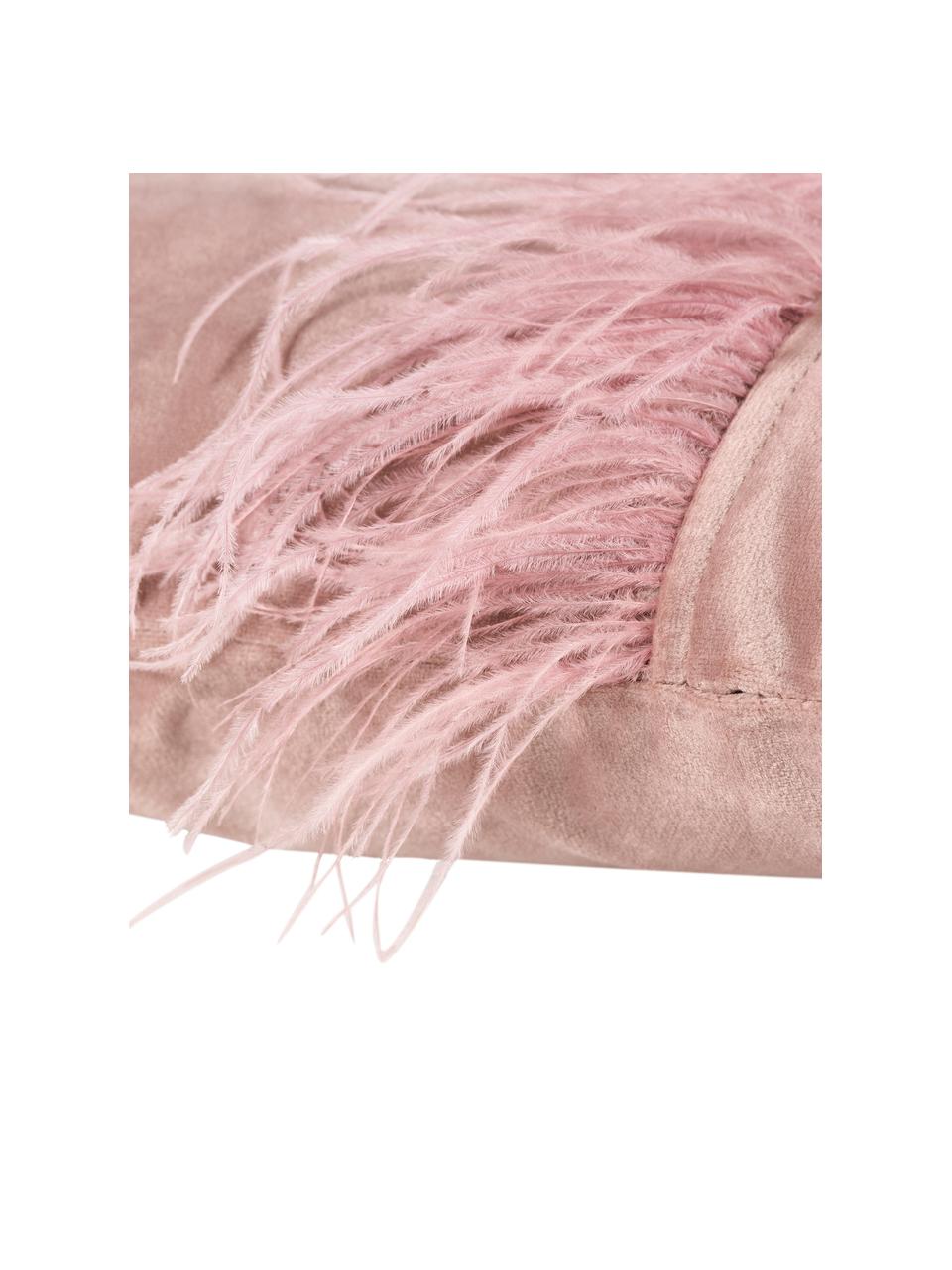 Housse de coussin 40x40 velours rose avec plumes Ostrich, Rose