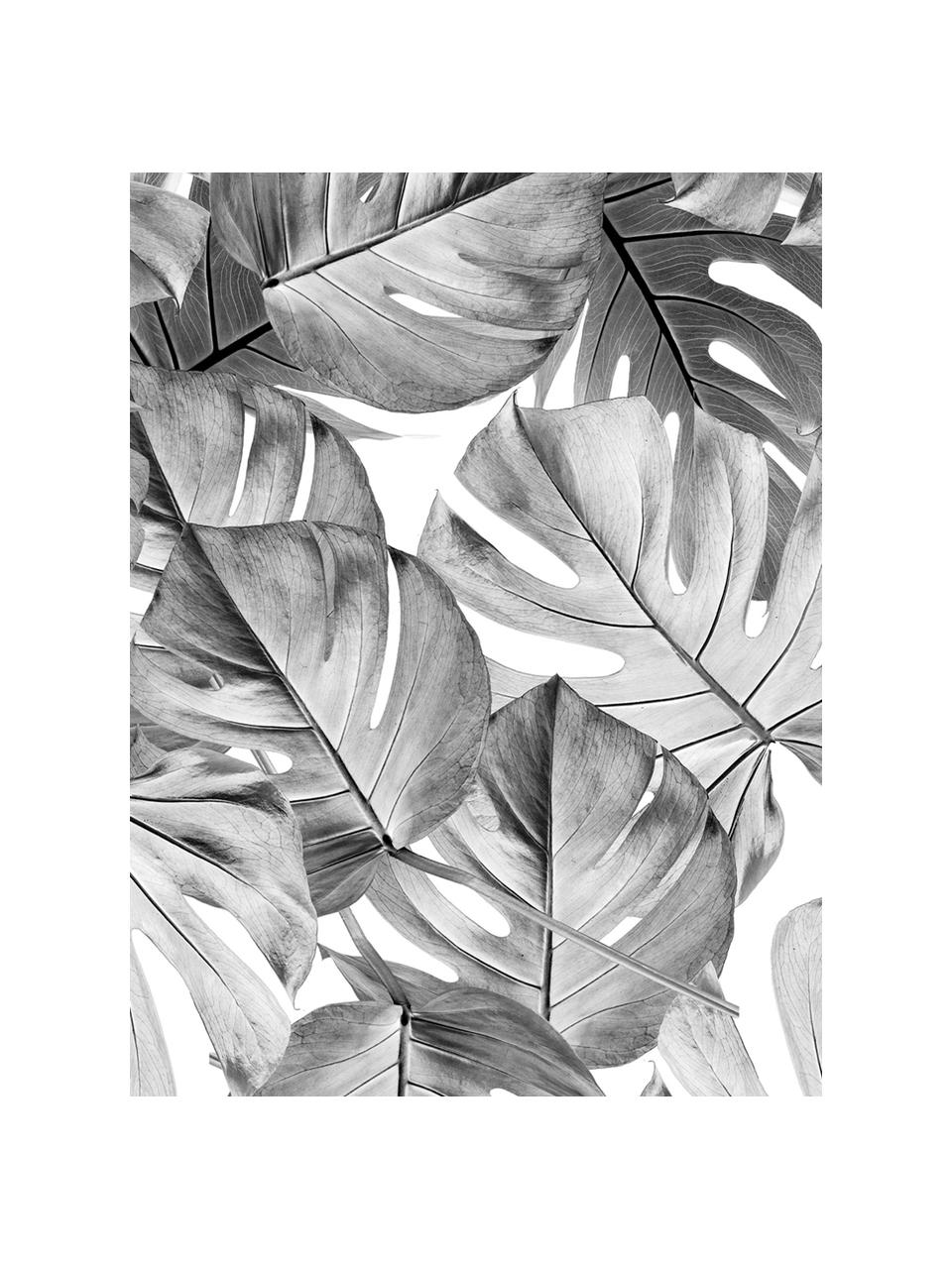 Carta da parati Monstera, Tessuto non tessuto, ecologico e biodegradabile, Nero, bianco, Larg. 97 x Alt. 280 cm