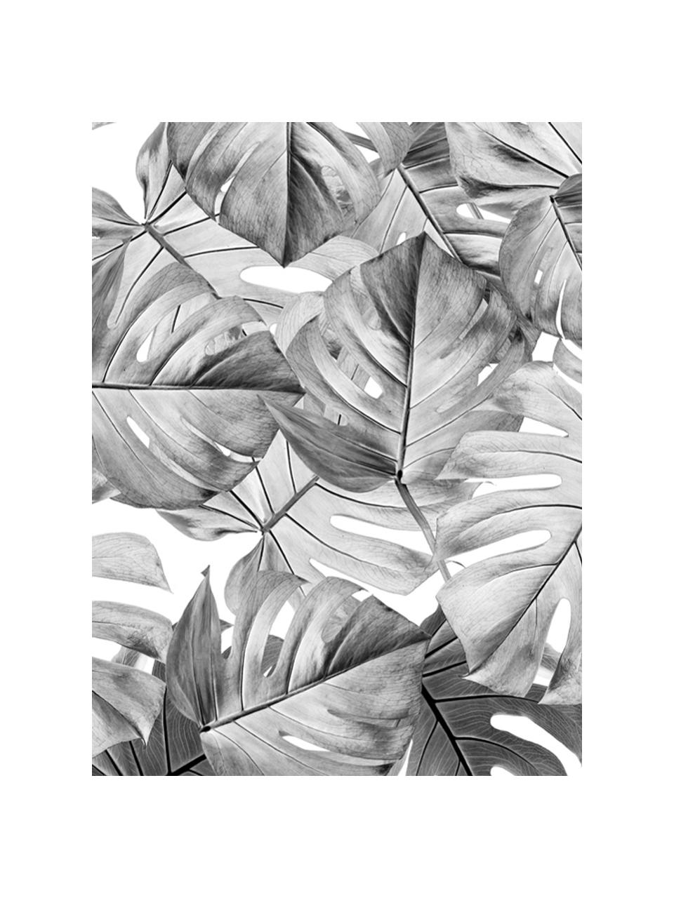 Carta da parati Monstera, Tessuto non tessuto, ecologico e biodegradabile, Nero, bianco, Larg. 97 x Alt. 280 cm