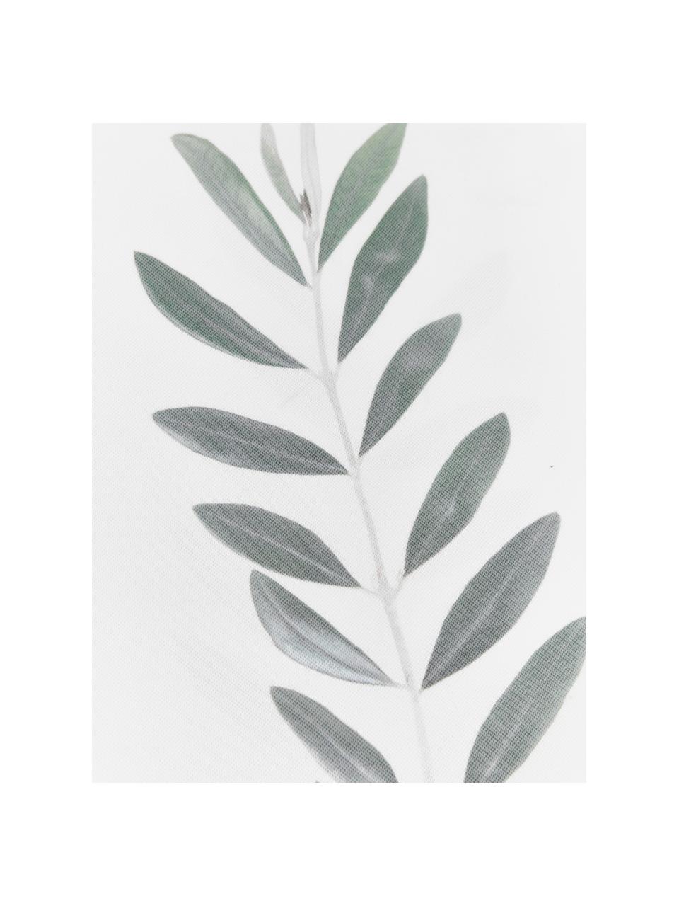 Kissenhülle Botanical mit Olivenzweig, 100% Polyester, Weiss, Grün, 40 x 40 cm