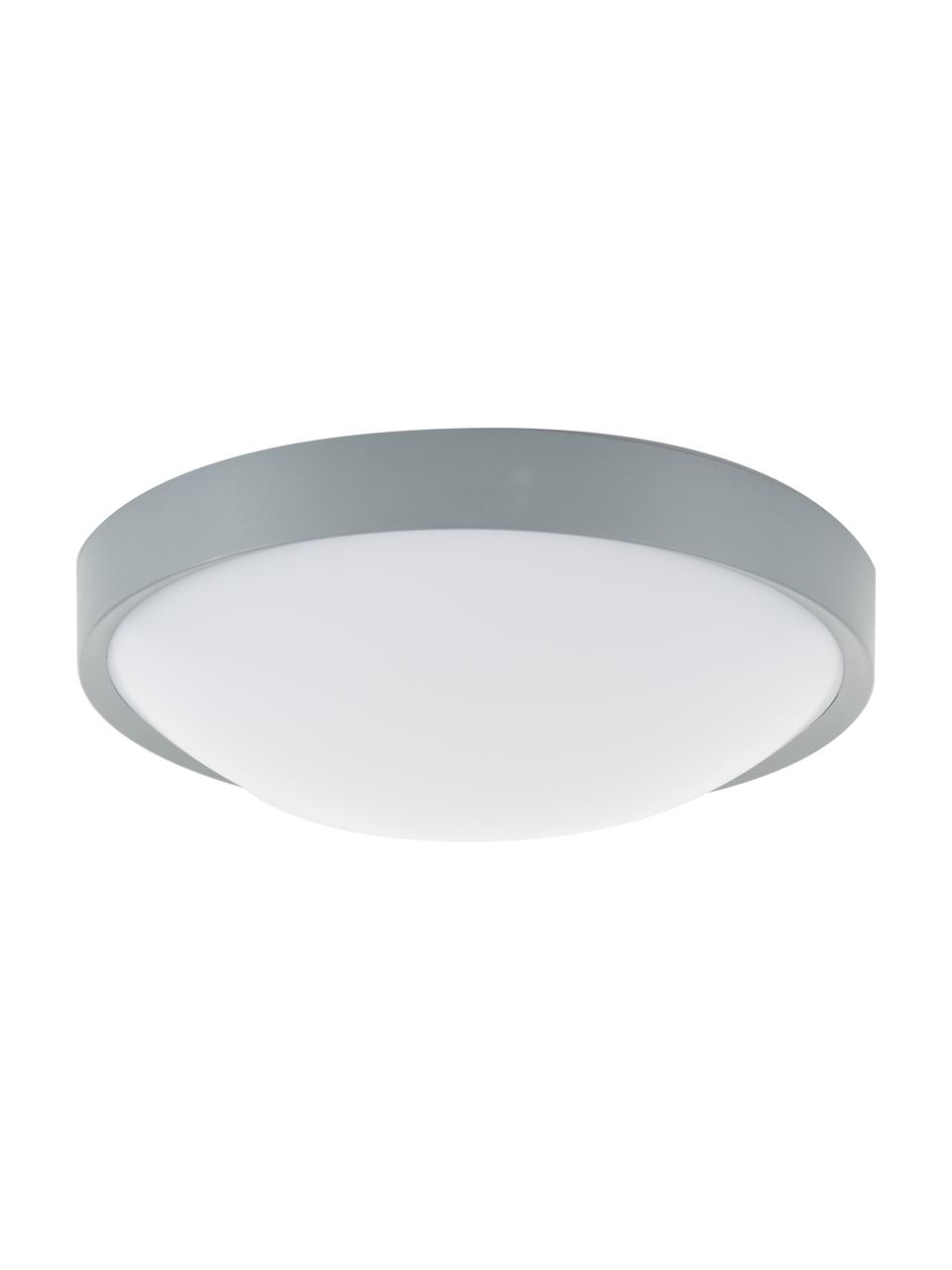 Plafoniera a LED Altus, Disco diffusore: materiale sintetico, Grigio, Ø 30 x Alt. 9 cm