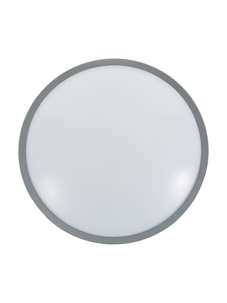 Plafón pequeño LED Altus, Estructura: metal, Gris, Ø 30 x Al 9 cm