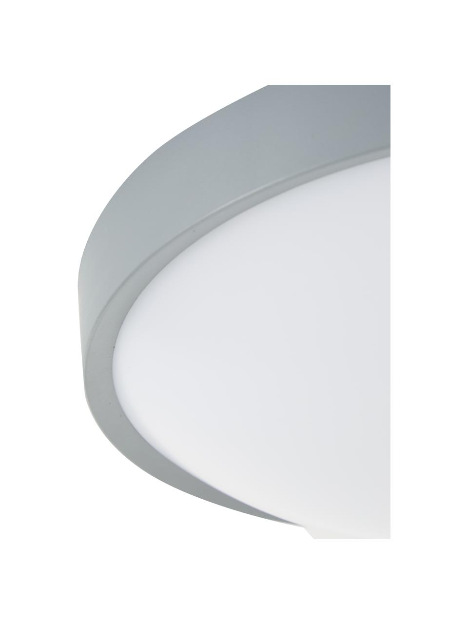 Petit plafonnier LED minimaliste Altus, Gris, Ø 30 x haut. 9 cm