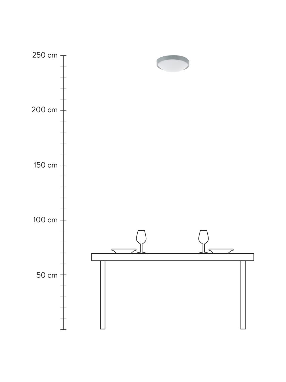 Kleine LED paneel Altus, Diffuser: kunststof, Grijs, Ø 30 x H 9 cm