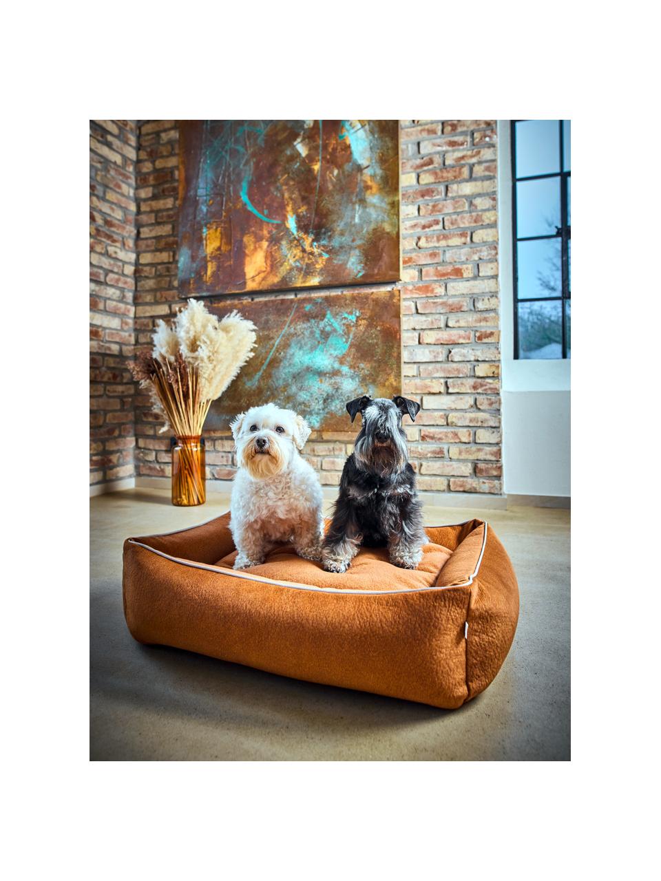 Lit pour chien en velours Classic, tailles variées, Velours terracotta, larg. 68 x prof. 55 cm