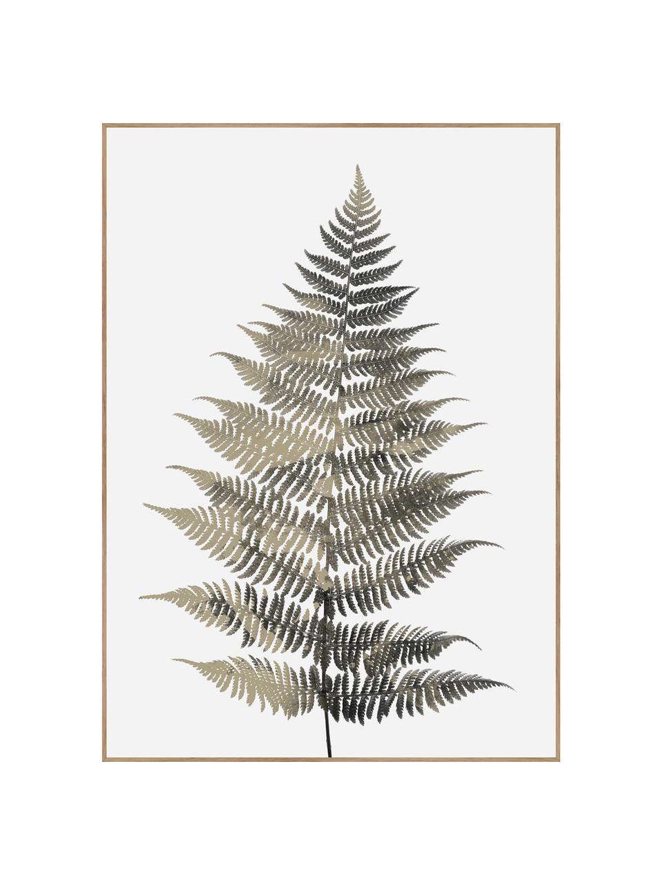 Gerahmter Digitaldruck Fern One, Bild: Digitaldruck auf Papier (, Rahmen: Hochdichte Holzfaserplatt, Grüntöne, Weiss, B 50 x H 70 cm