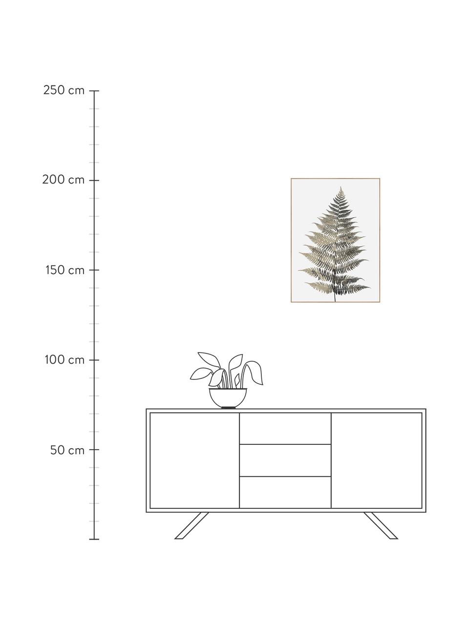 Digitálna tlač s rámom Fern One, Zelená, biela, Š 50 x V 70 cm