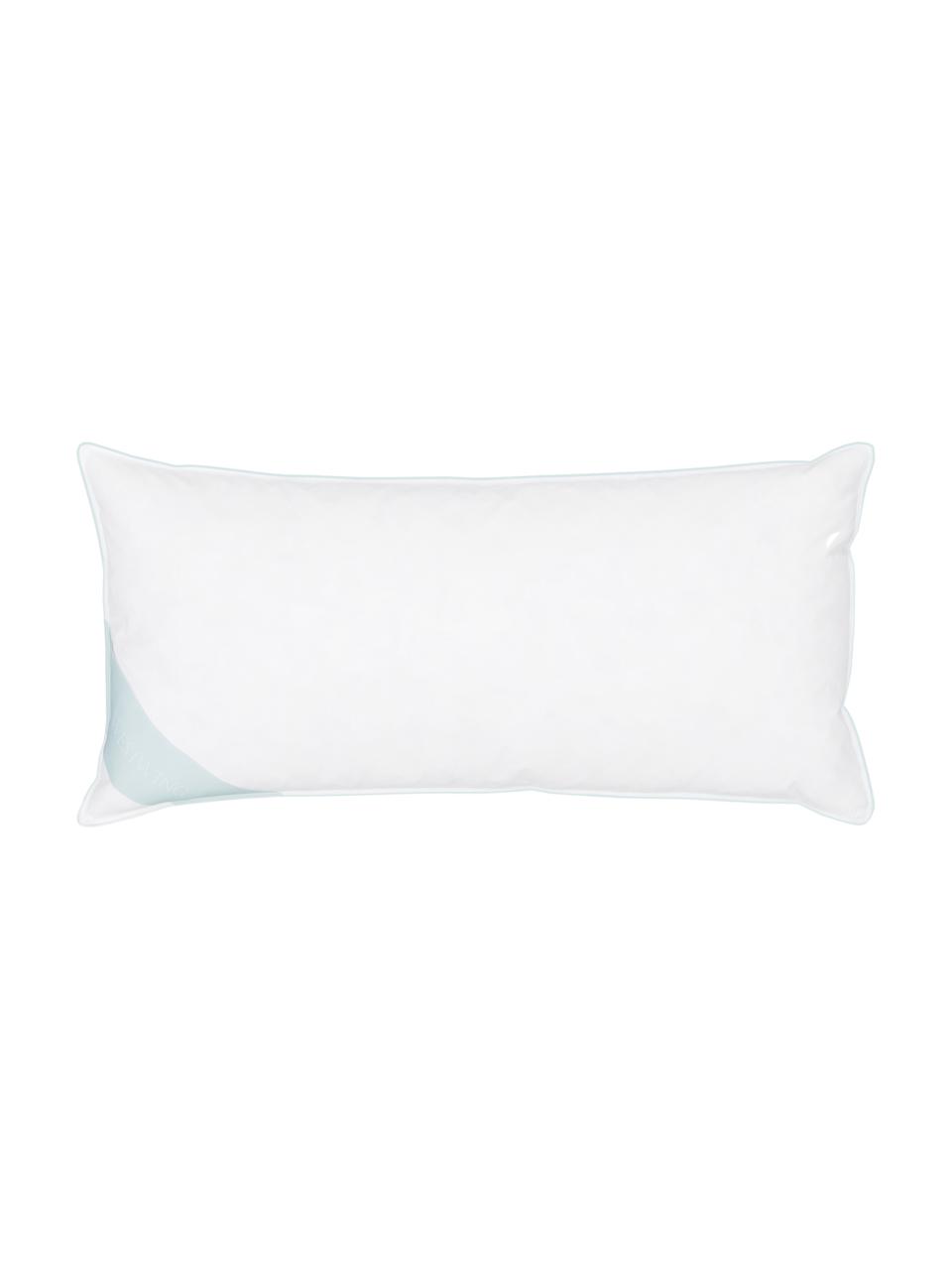 Almohada de plumas Comfort, dura, Blanco con ribete turquesa satinado, An 45 x L 85 cm