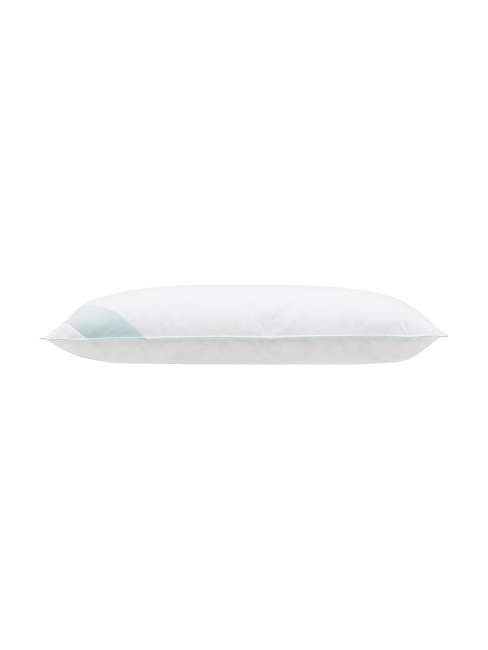 Almohada de plumas Comfort, dura