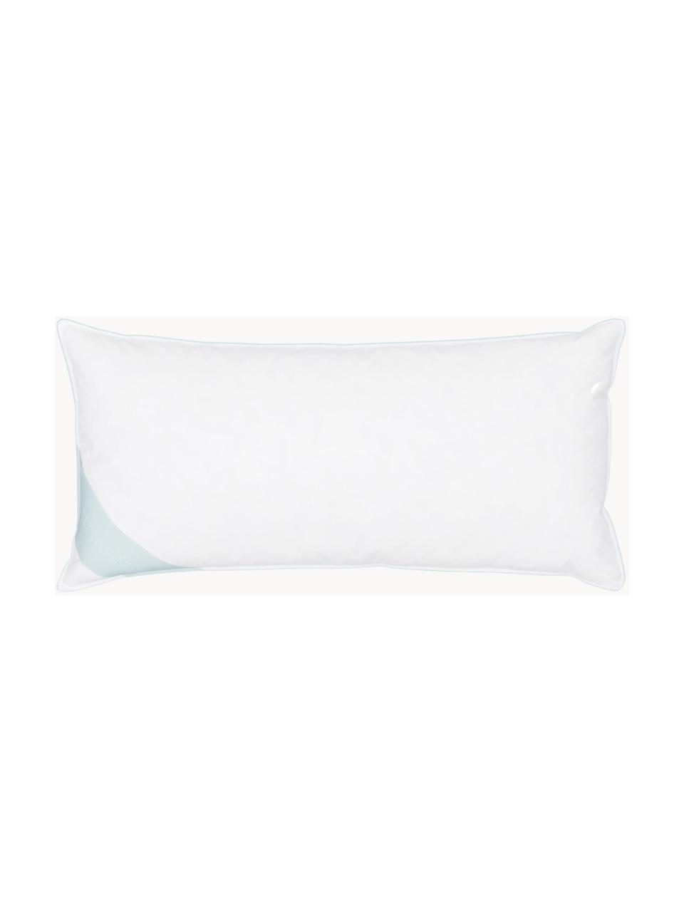 Almohada de plumas Comfort, dura, Firmeza alta, An 45 x L 85 cm