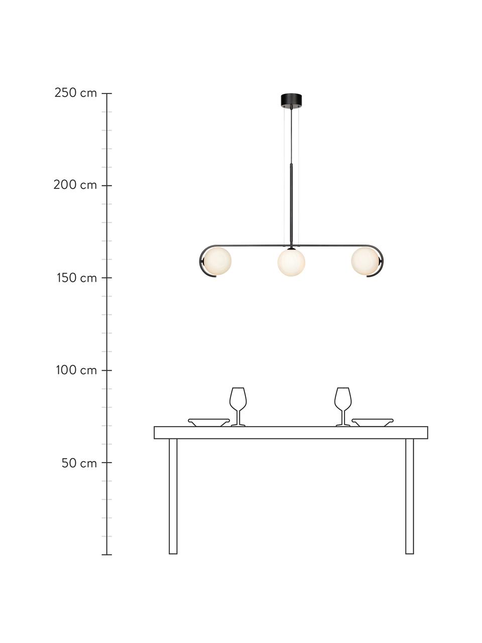 Große Pendelleuchte Pals mit Glasschirmen, Baldachin: Metall, beschichtet, Schwarz, 100 x 20 cm