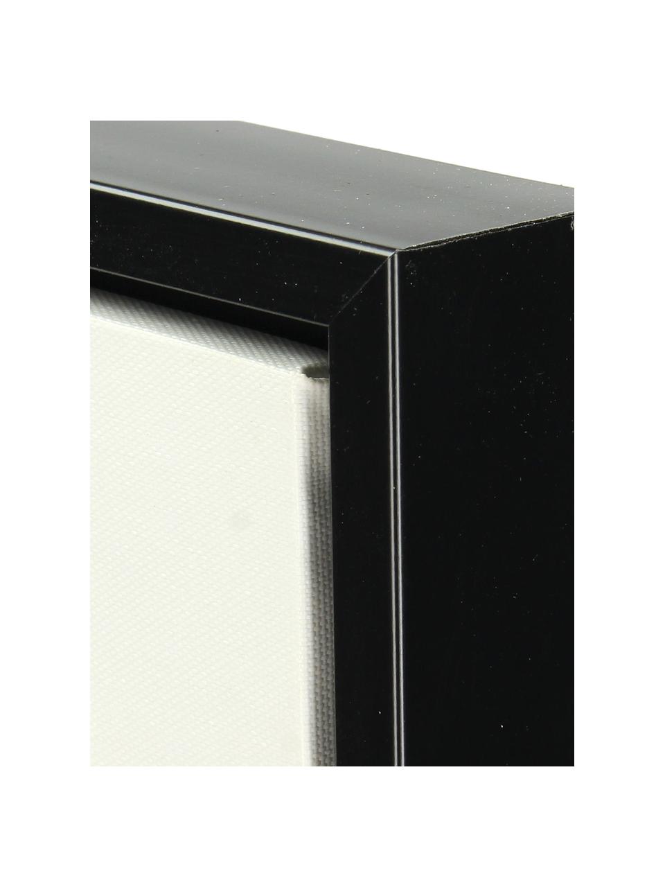 Cuadro sobre lienzo enmarcado Opal, Blanco, negro, An 45 x Al 60 cm