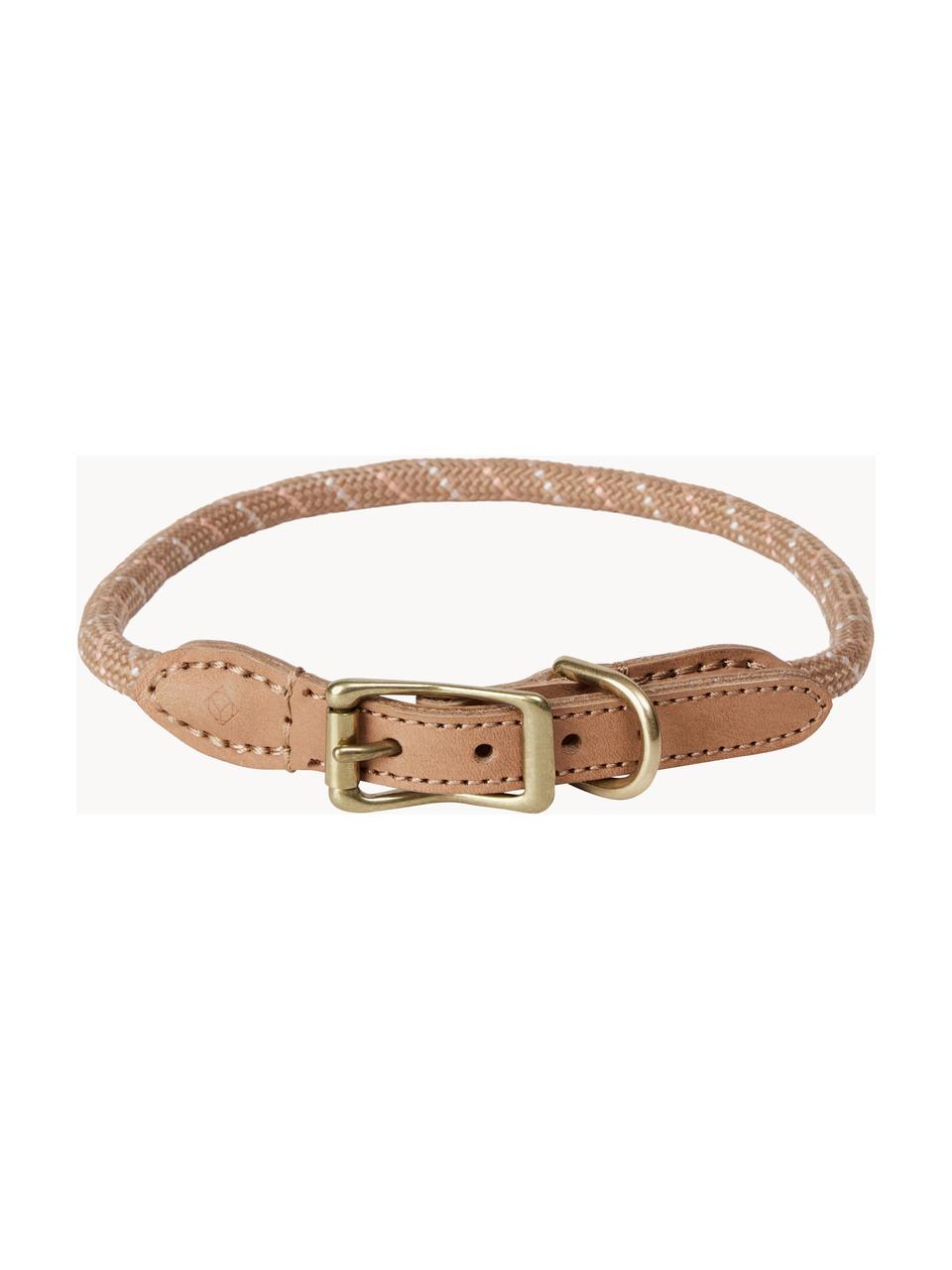 Haustier-Halsband Perry, in verschiedenen Größen, Verschluss: Messing, Beige, L 35 cm