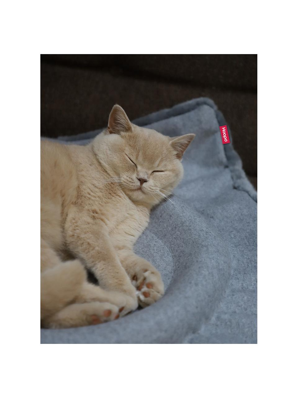 Lit pour chat Flip, 50 % coton, 50 % polyester, Gris, larg. 60 x long. 60 cm