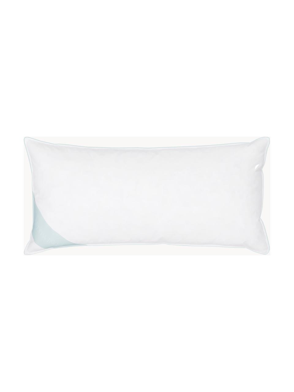 Cuscino medio Comfort, Bianco con fascia di stoffa in raso turchese, Larg. 40 x Lung. 80 cm