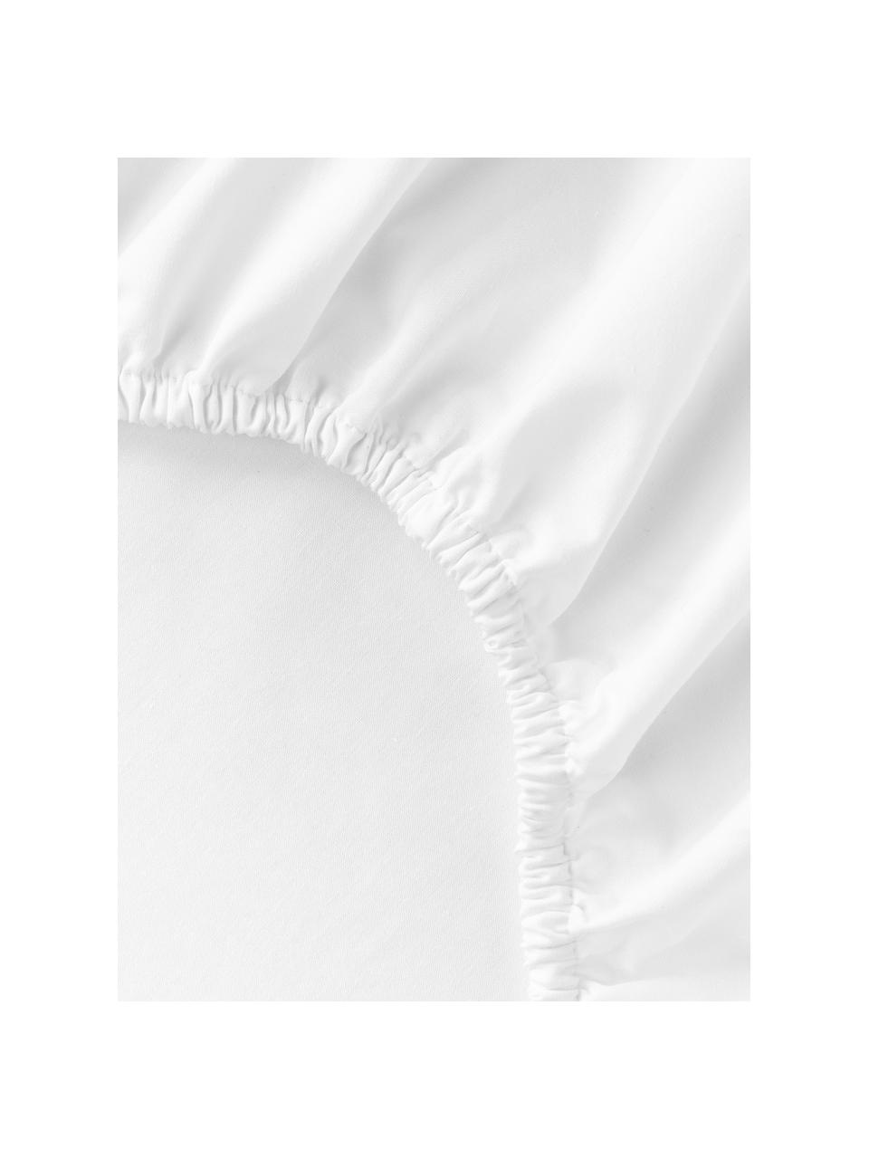 Drap-housse en percale de coton pour sommier tapissier Elsie, Blanc, larg. 90 x long. 200 cm, haut. 35 cm