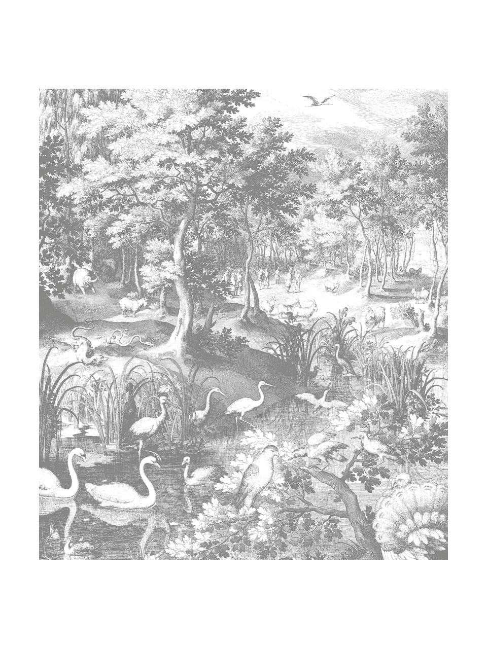 Adesivo murale con motivo forestale Landscapes, Tessuto non tessuto, Bianco, grigio, Larg. 190 x Alt. 220 cm