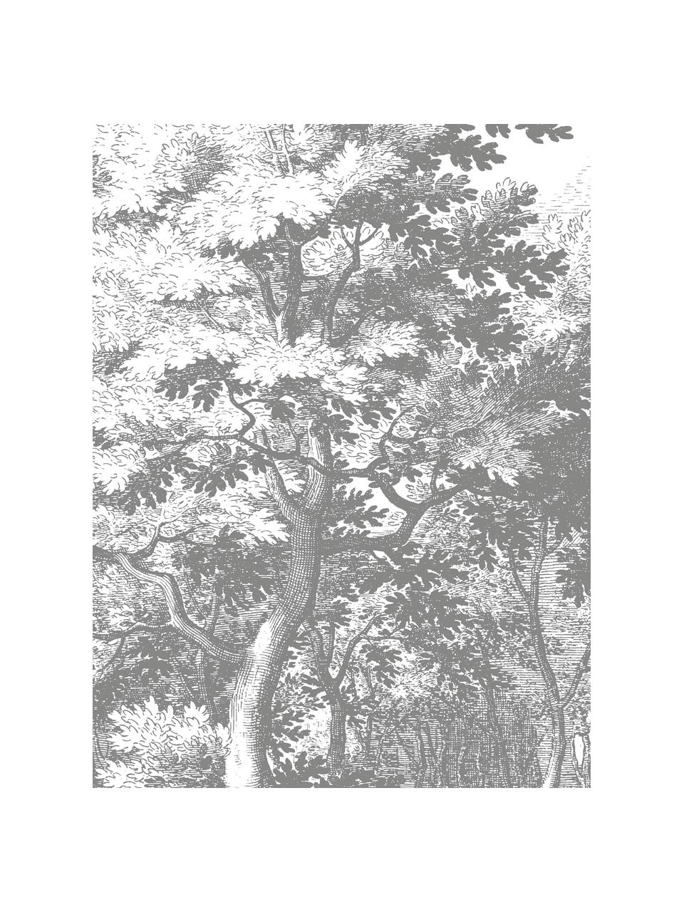 Fototapeta s motivem lesa Landscapes, Flís, Bílá, šedá, Š 190 cm, V 220 cm