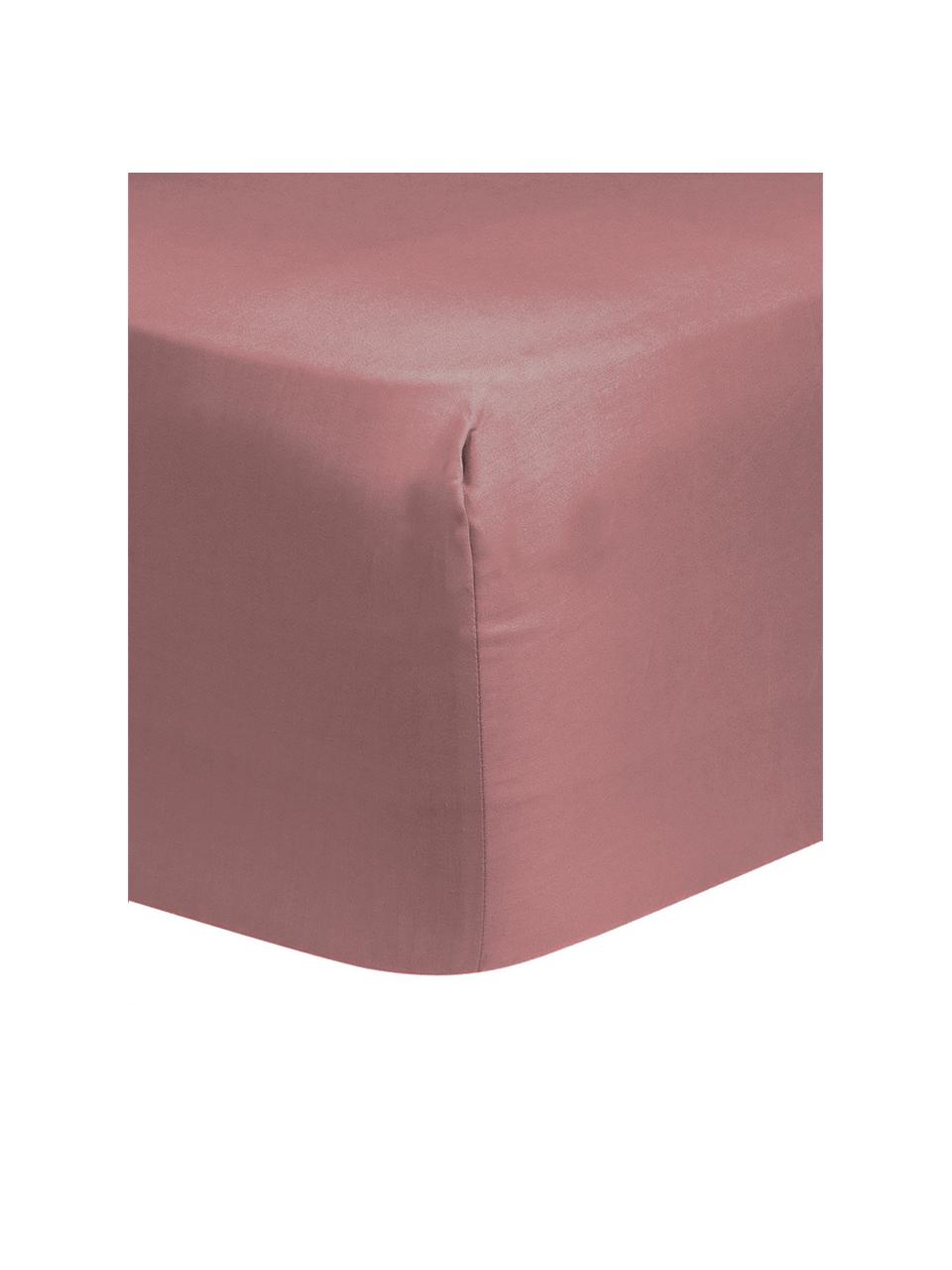 Lenzuolo con angoli in raso di cotone color malva Comfort, Malva, Larg. 180 x Lung. 200 cm