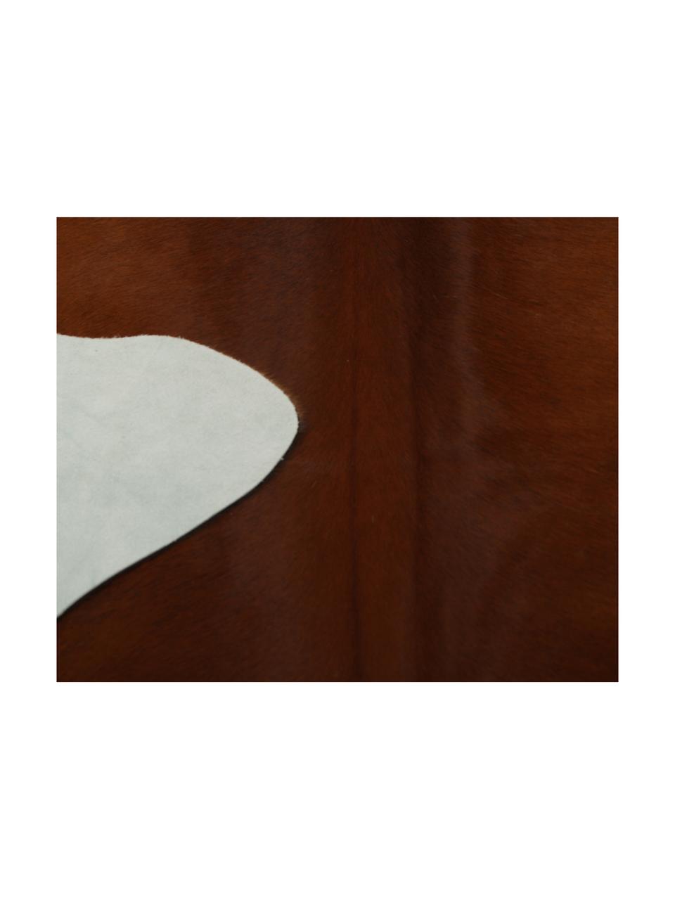 Alfombra de piel bovina Jura, Piel bovina, Marrón, beige, Piel bovina única 983, 160 x 180 cm