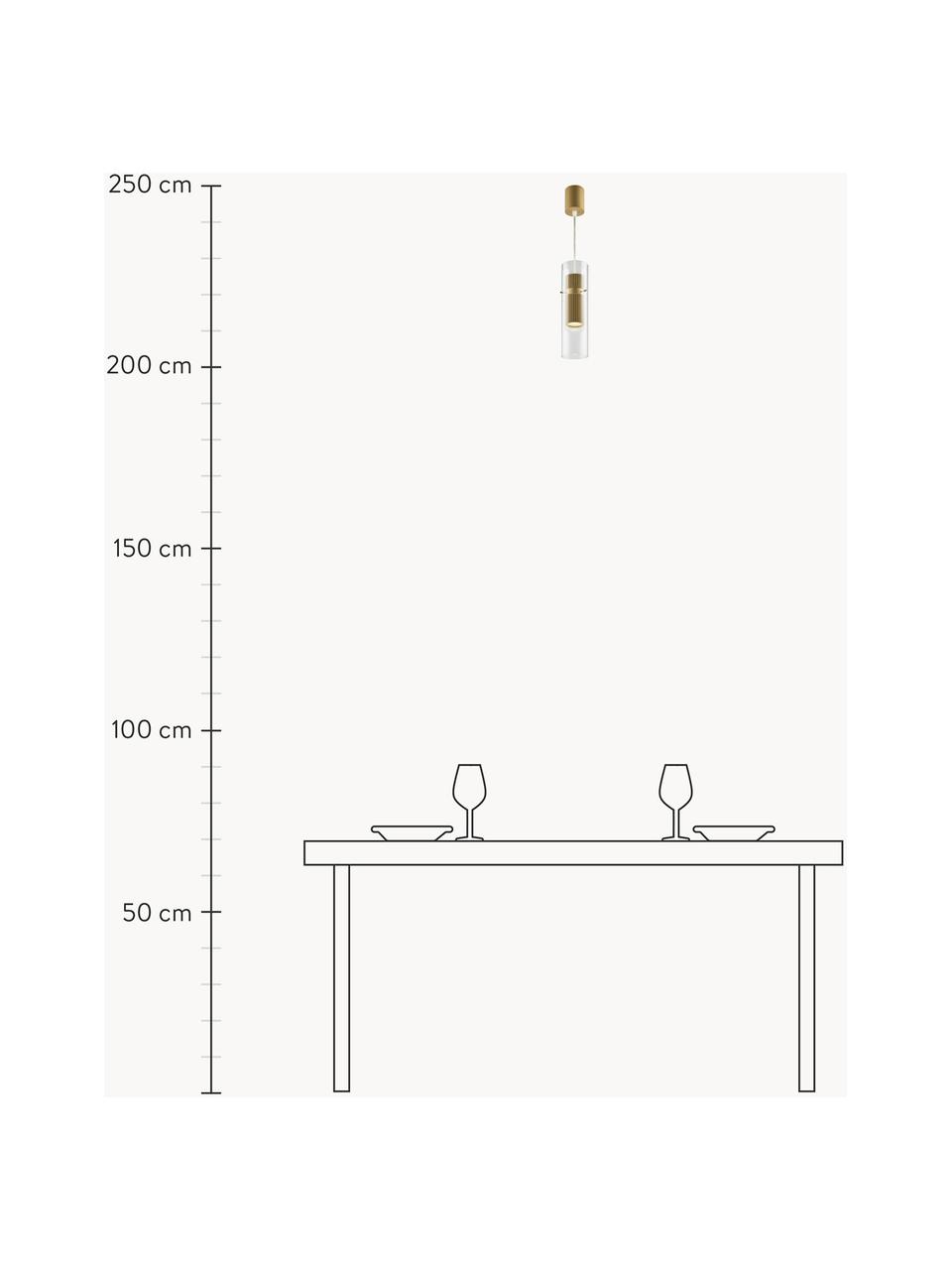 Pendelleuchte Dynamics, Lampenschirm: Glas, Aluminium, beschich, Baldachin: Aluminium, beschichtet, Transparent, Goldfarben, Ø 8 x H 56 cm