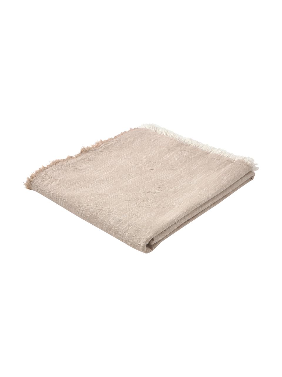 Mantel de algodón con flecos Ivory, 100% algodón, Beige, De 6 a 10 comensales (An 145 x L 250 cm)