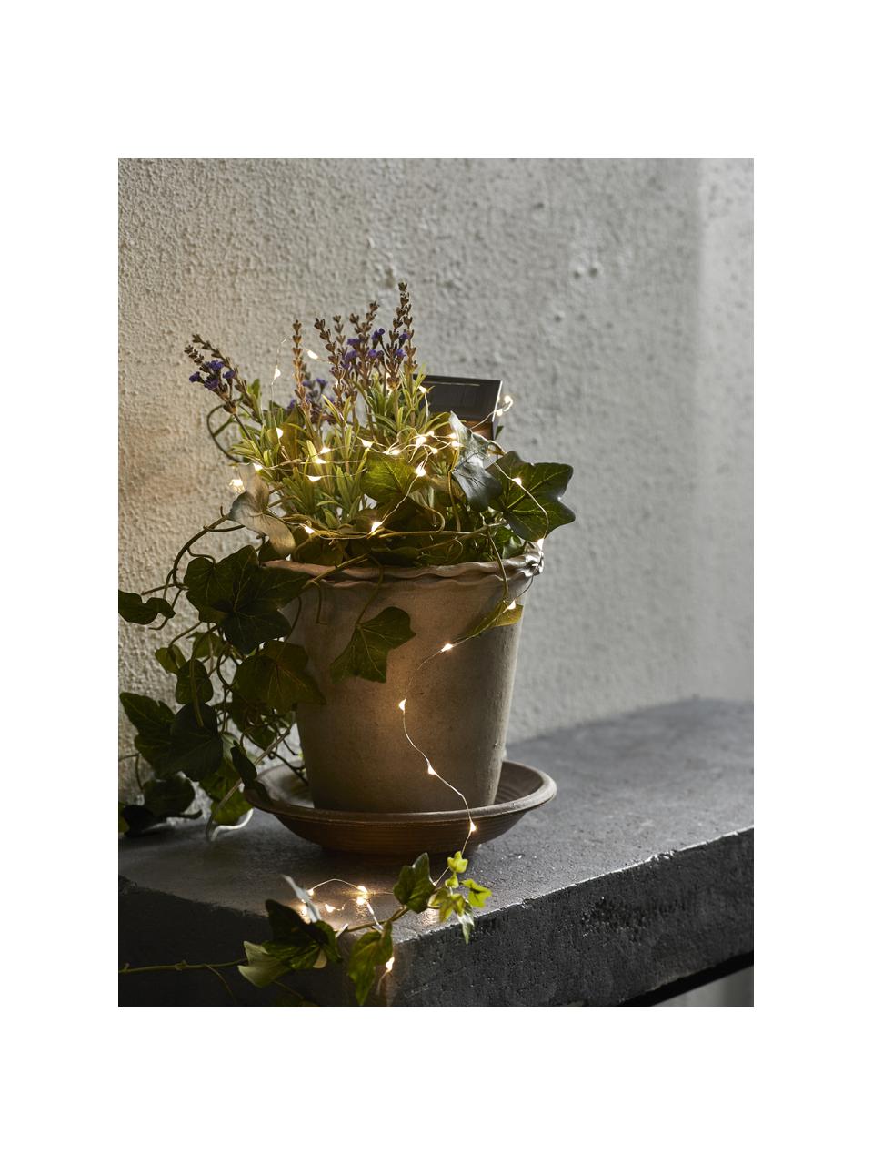 Catena luminosa solare a LED Drop, 500 cm, 50 lampadine, Paralume: materiale sintetico Picch, Bianco, trasparente, Lung. 500 cm