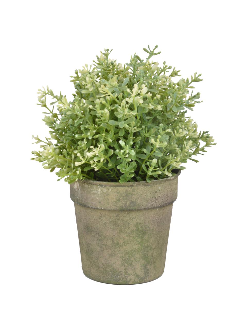 Kleine plantenpot Antique, Gecoat staal, Groen, beige, Ø 13 x H 11 cm