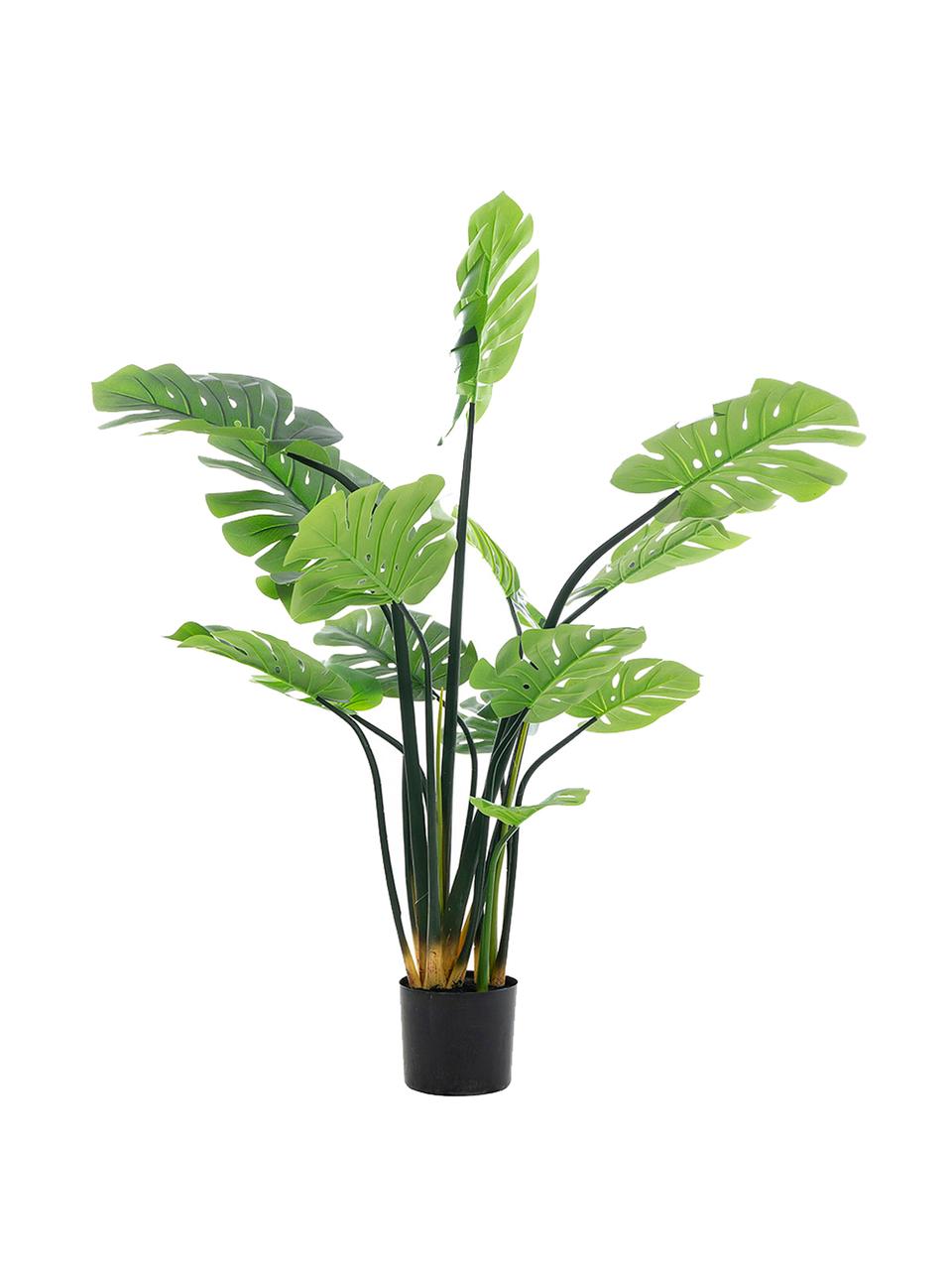 Planta artificial Minto, Fibra sintética, Verde, negro, Ø 112 x Al 150 cm