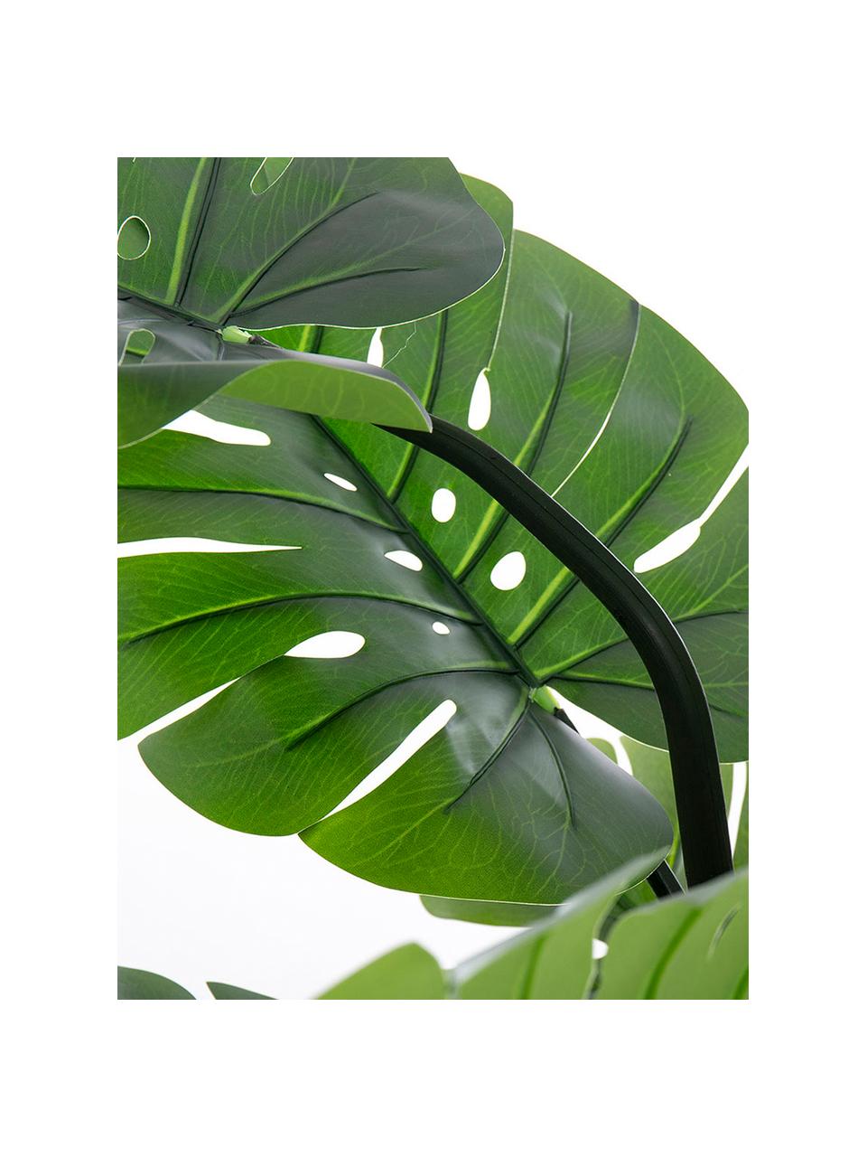 Planta artificial Minto, Fibra sintética, Verde, negro, Ø 112 x Al 150 cm