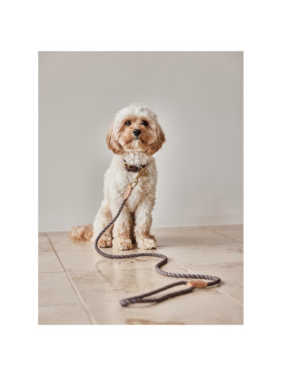 Guinzaglio per cani Perry, Marrone scuro, Lung. 160 cm
