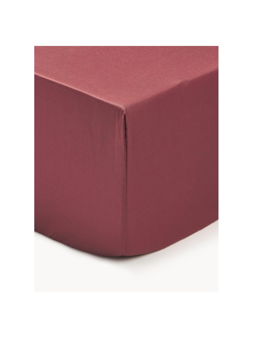 Lenzuolo con angoli boxspring in raso di cotone Premium, Rosso vino, Larg. 90 x Lung. 200 cm, Alt. 35 cm