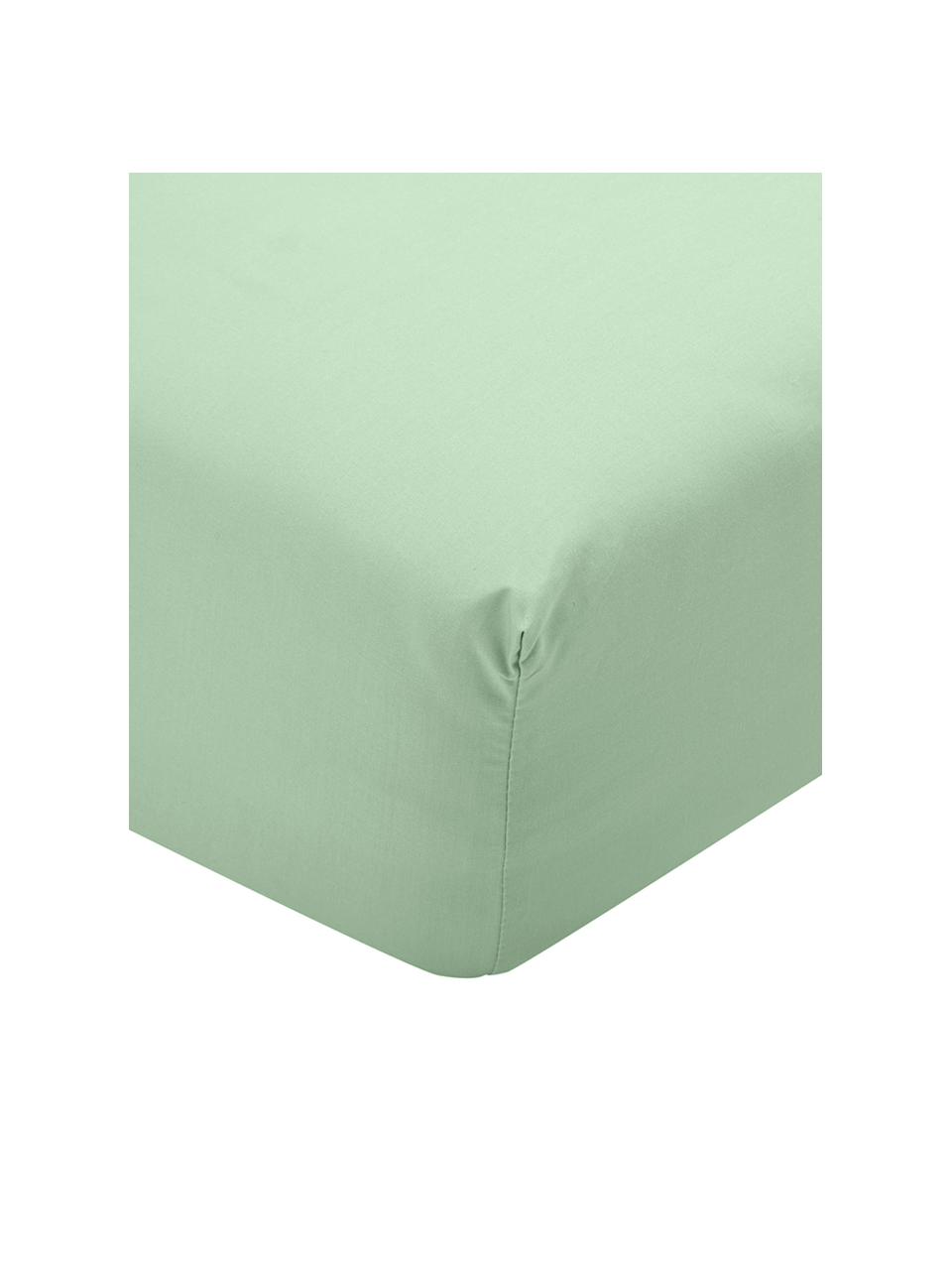 Drap-housse en percale de coton Elsie, Vert, larg. 90 x long. 200 cm, haut. 25 cm