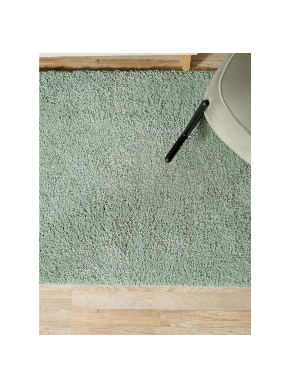 Tappeto morbido a pelo lungo Leighton, Retro: 70% poliestere, 30% coton, Verde menta, Larg. 80 x Lung. 150 cm (taglia XS)