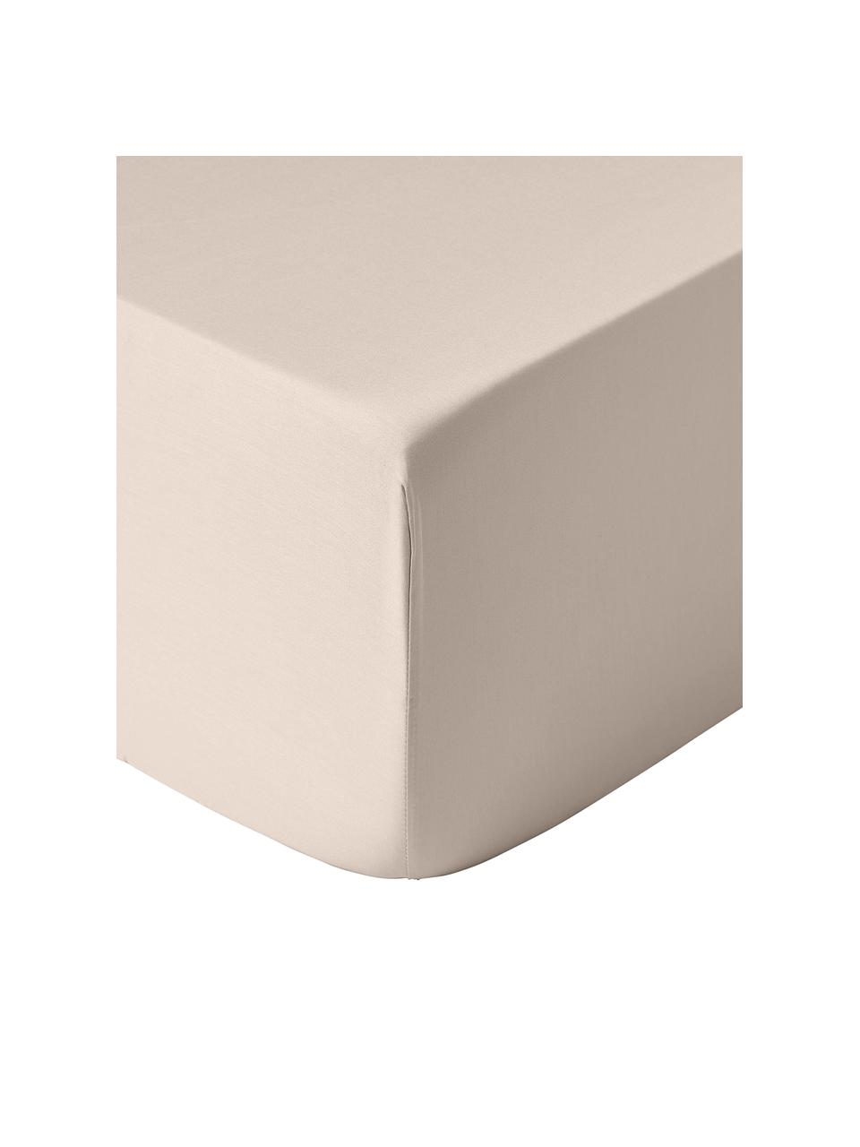 Boxspring hoeslaken Comfort, katoensatijn, Weeftechniek: satijn Draaddichtheid 250, Beige, B 90 x L 200 cm, H 35 cm
