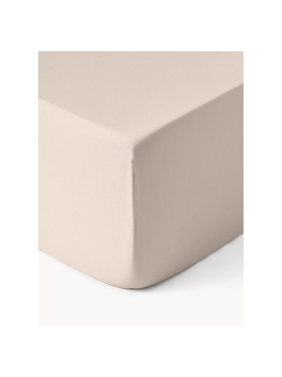 Boxspring-Spannbettlaken Comfort, Baumwollsatin, Webart: Satin Fadendichte 300 TC,, Hellbeige, B 90 x L 200 cm, H 35 cm