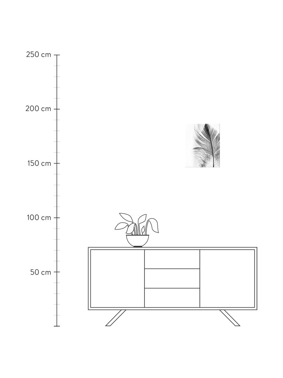 Ingelijste digitale print Feather, Afbeelding: digitale afdruk op papier, Lijst: kunststof (PU), Afbeelding: zwart, wit. Frame: zwart, B 30 x H 40 cm