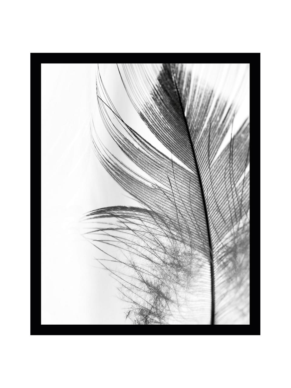 Oprawiony druk cyfrowy Feather, Stelaż: tworzywo sztuczne (PU), Ilustracja: czarny, biały Stelaż: czarny, S 30 x W 40 cm