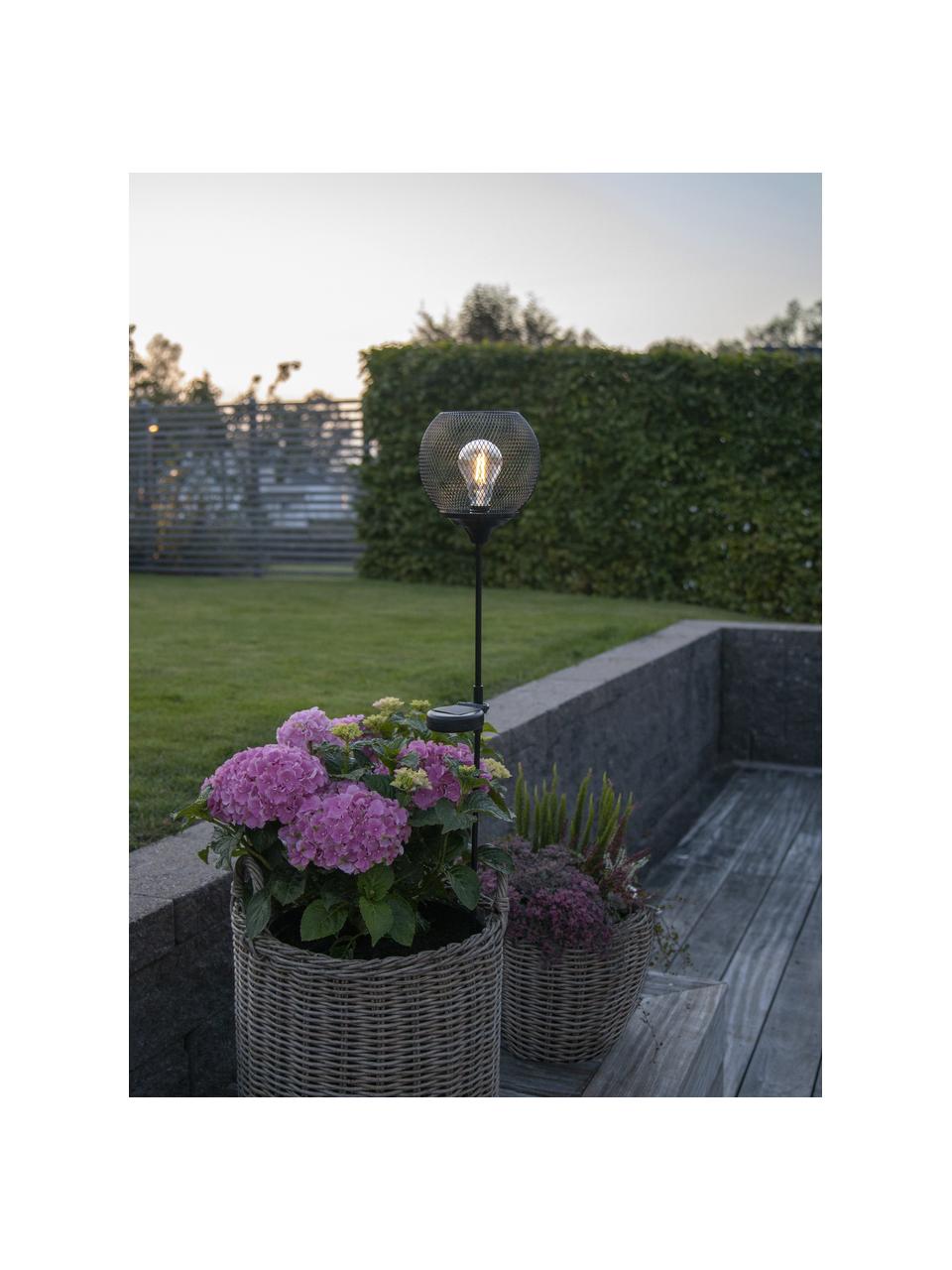 Lampada solare da giardino a LED Sunlight, Lampada: metallo rivestito, Nero, Ø 16 x Alt. 76 cm
