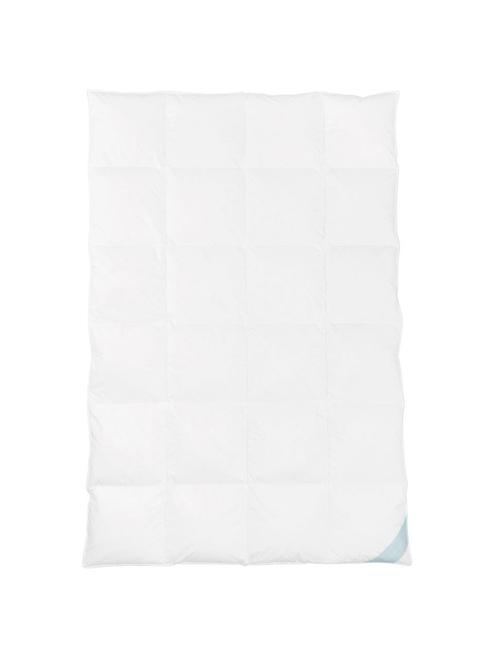 Kołdra puchowa Comfort, ciepła, Ciepła, S 200 x D 200 cm