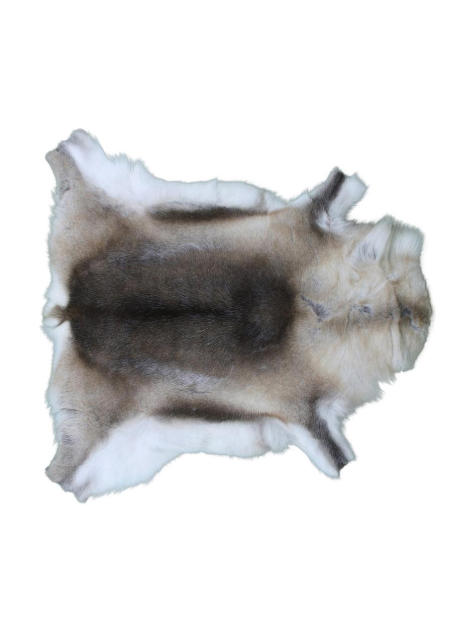 Dywan ze skóry renifera Dobri, Skóra renifera, Odcienie brązowego, biały, Unikatowa skóra z renifera 198, 75 x 115 cm